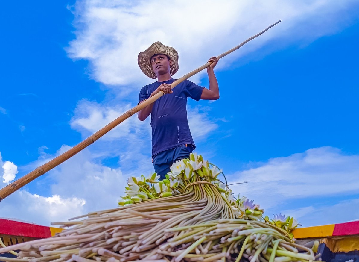 Lostmind_1989's tweet image. Shot on Redmi Note 12 Pro

#RedmiNote12Pro
@XiaomiIndia @RedmiIndia
@Huilgol @manish_lenswork @s_anuj @pixelwithme @sandeep9sarma @MiFCKolkata