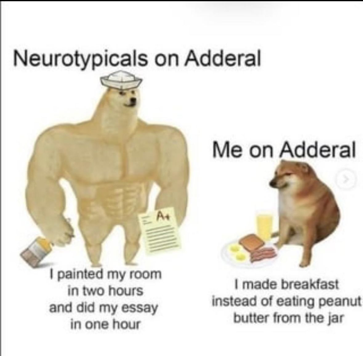 ADHD Memes tweet media