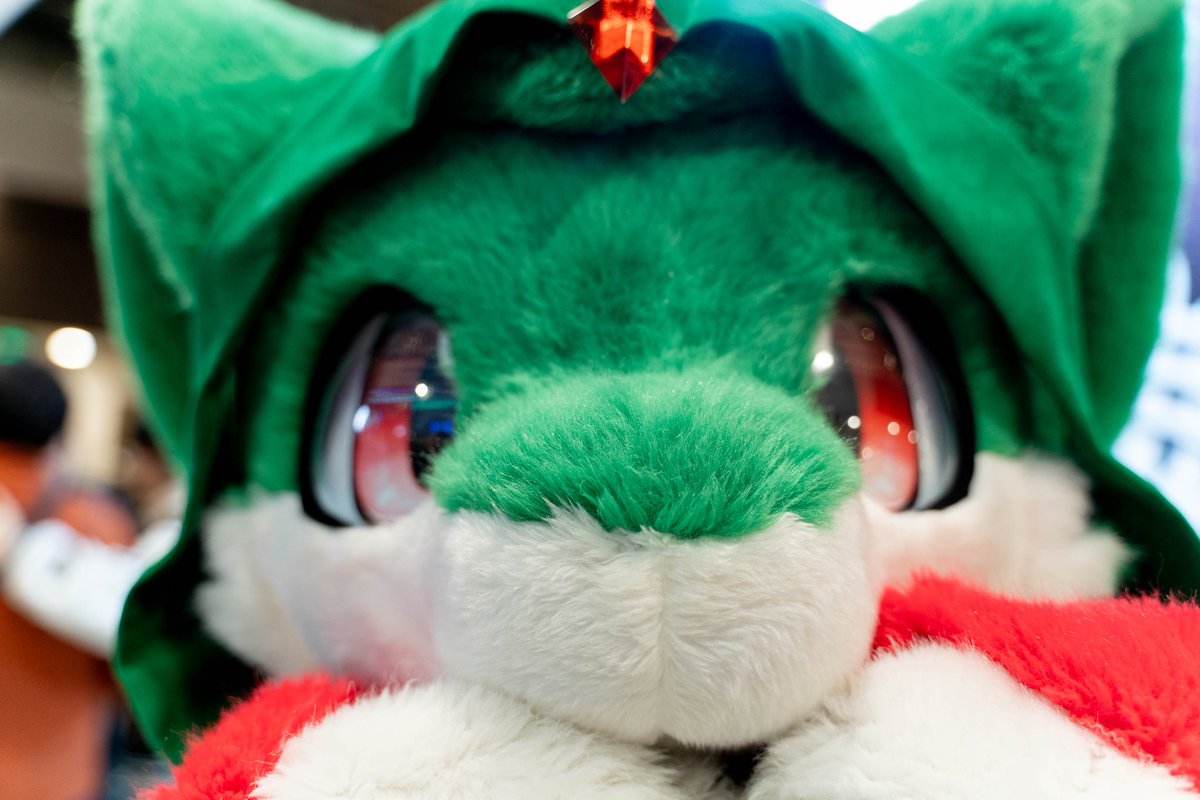 一周过去了，有没有我的返图🥺

📸： <a href="/Dragon_AJiaoCat/">那么大的一只阿胶🔜WFF</a> 
#fursuitfriday #fursuit #furry #wff #wff2024 #冬兽聚 #冬兽聚2024