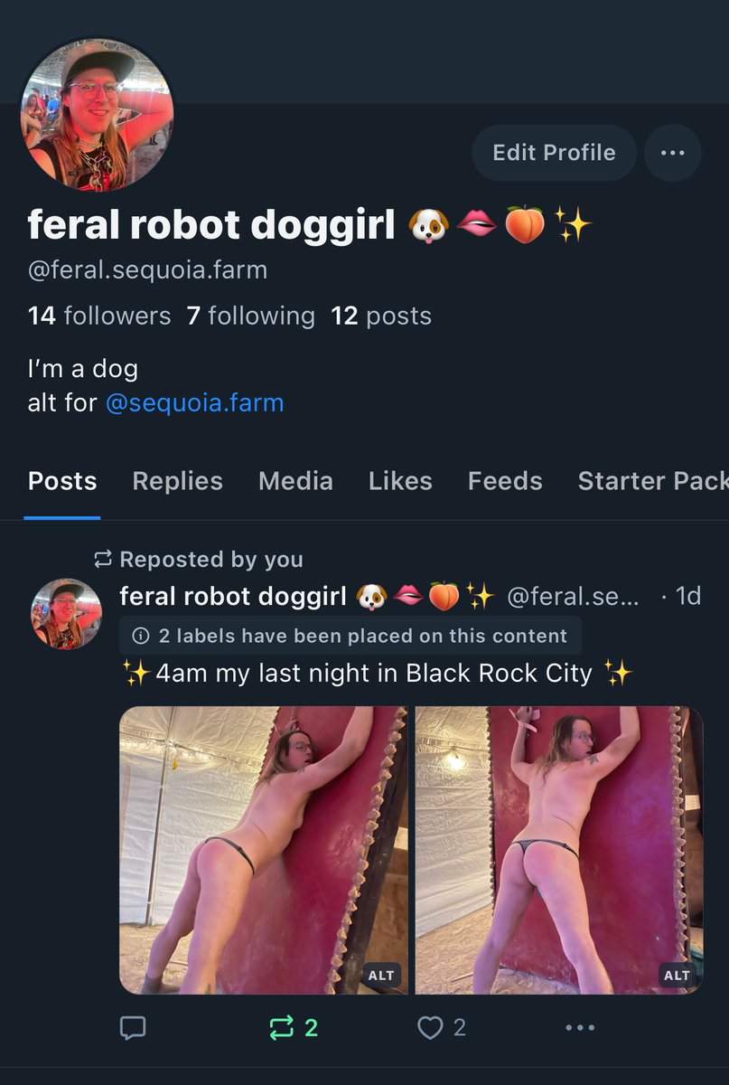 Sequoia Alexander (moved to bsky @sequoia.farm) tweet media