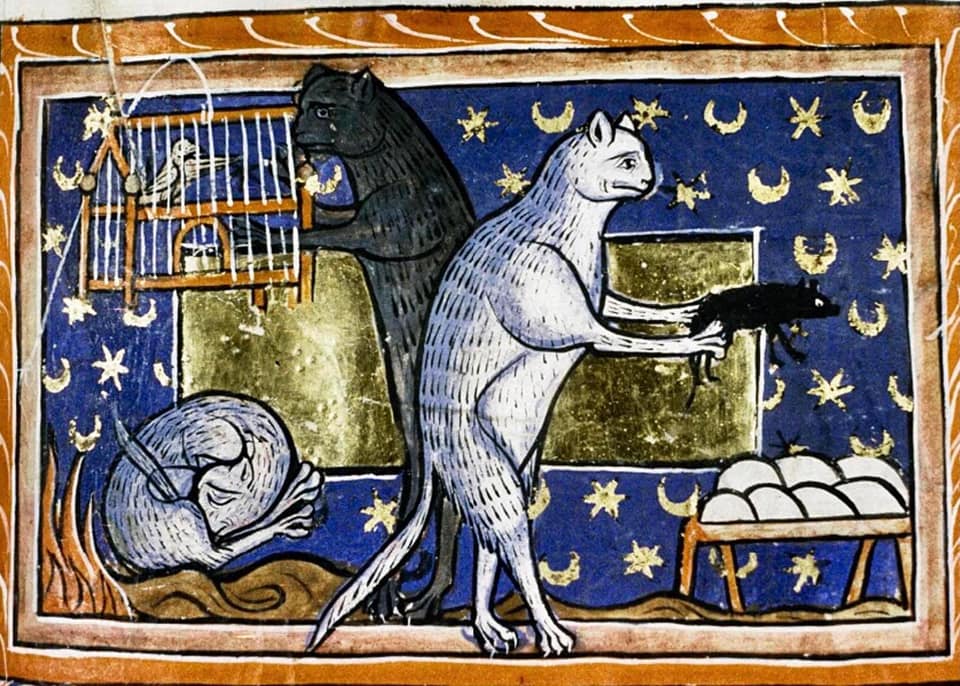 bodleianlibs's tweet image. Our 3rd most popular post of 2024...and of COURSE it&apos;s #medievalcats! 

Shared on int&apos;l #cat day this post garnered 81 comments. And we&apos;re quite sure the cats weren&apos;t fussed about a single one 😂. Some of the behaviour is so relatable (looking at you, 3rd pic). 1st pic...less so.