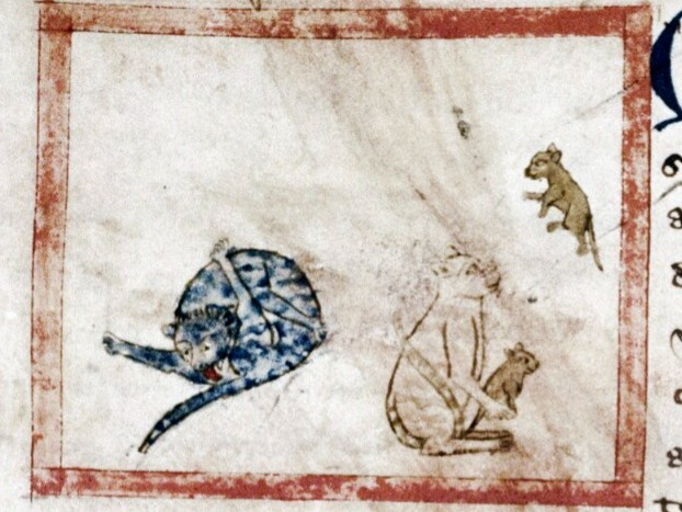 bodleianlibs's tweet image. Our 3rd most popular post of 2024...and of COURSE it&apos;s #medievalcats! 

Shared on int&apos;l #cat day this post garnered 81 comments. And we&apos;re quite sure the cats weren&apos;t fussed about a single one 😂. Some of the behaviour is so relatable (looking at you, 3rd pic). 1st pic...less so.