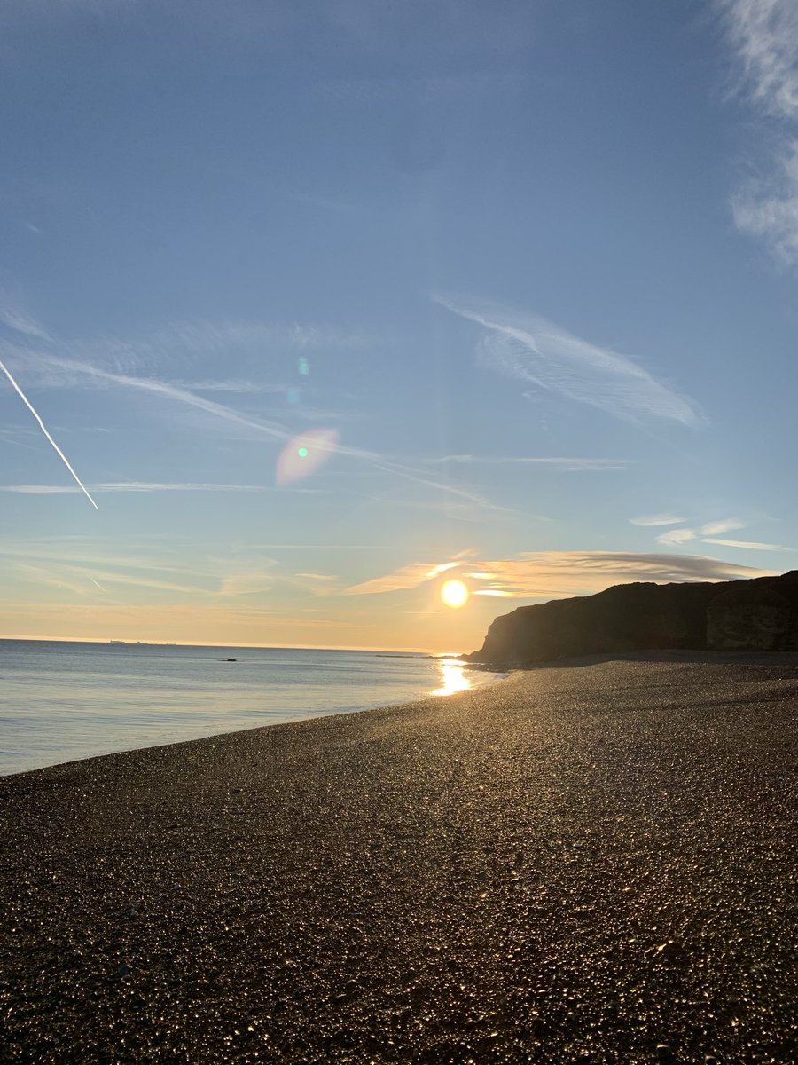 A privilege to be the only one on the local beach early with Gryff the Sealyham 🐶