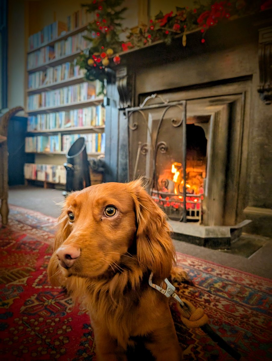 Matthew Stafford tweet media