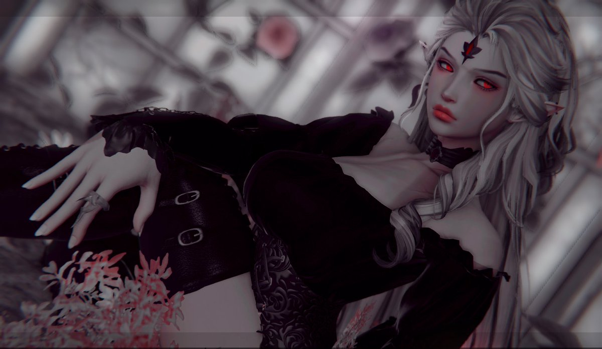 .: Garden :. 

◇ ◇ ◇ ◇