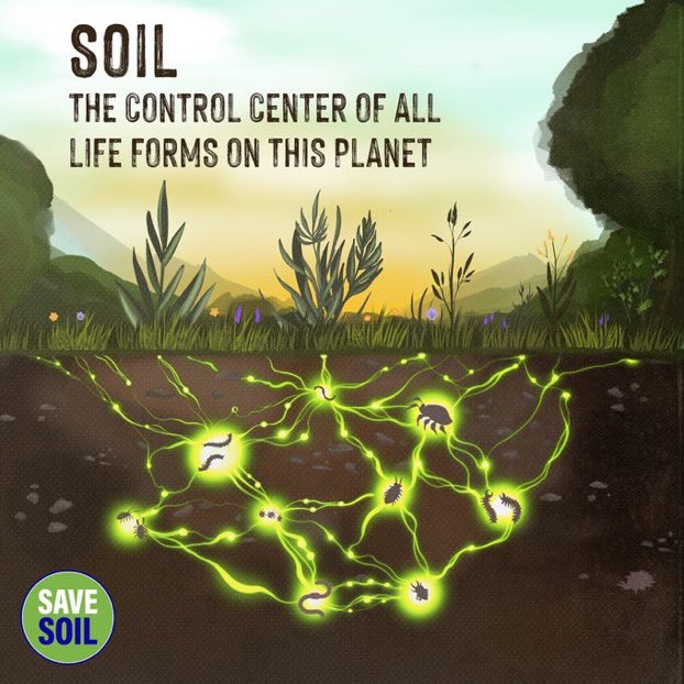 kamallala8's tweet photo. @cpsavesoil @SadhguruJV @InterfaithEco #Soil🤎 was largely overlooked, underrated  &amp; considered as dirt. Only after Sadhguru’s solo 30,000km motorcycle journey spanning 27 nations &amp; 100 days that nations woke up to the significance of #SaveSoilSavePlanet🌱🌏🌱
#SoilHealth🪱
#SaveSoilSecureFuture👶🏻
#PolicyForSoil 📝 https://t.co/vhuW94pg7a