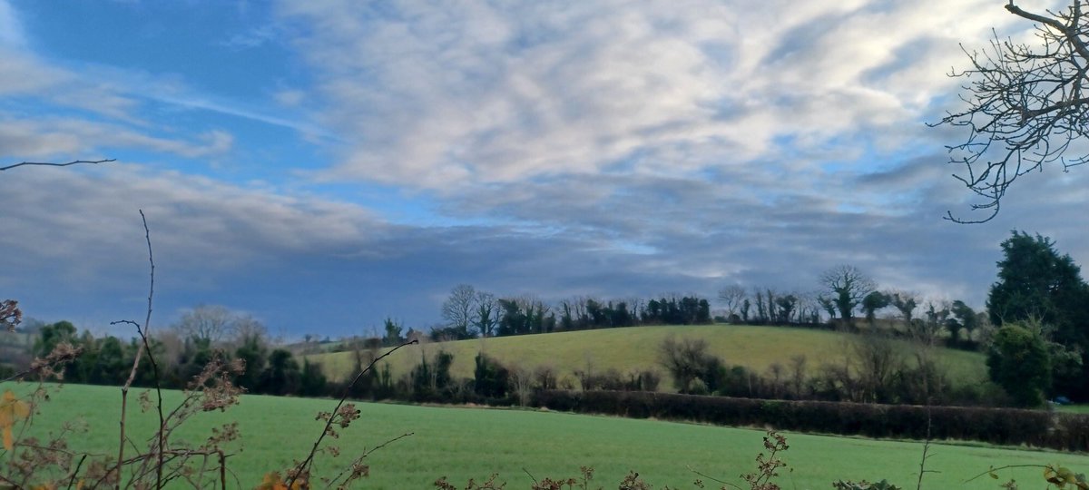 PatrickJMB's tweet photo. East County Down cloudscapes and drumlins with a view to Slieve Patrick
#Lecale https://t.co/l6RZKw4uQQ