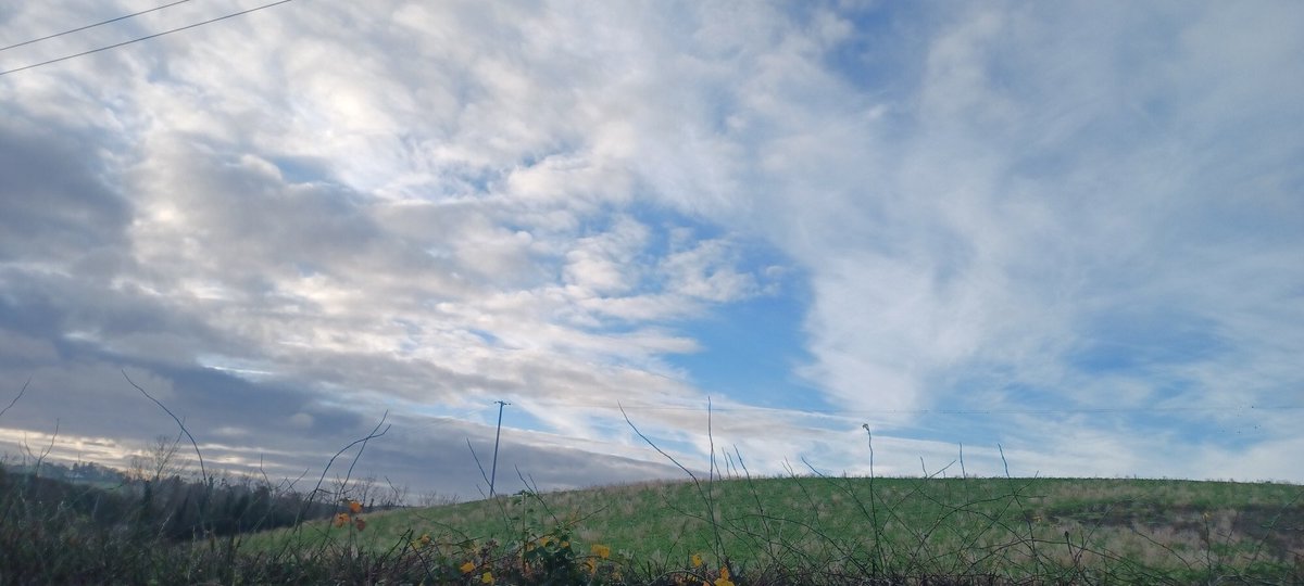 PatrickJMB's tweet photo. East County Down cloudscapes and drumlins with a view to Slieve Patrick
#Lecale https://t.co/l6RZKw4uQQ