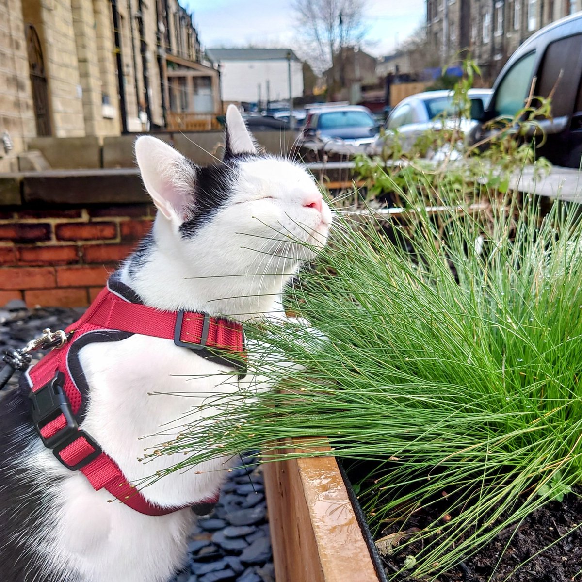 Natalie Kelda tweet media