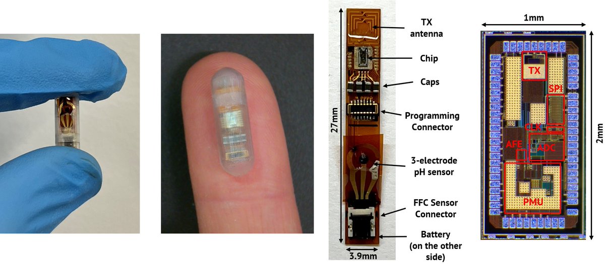 Yasser Khan (@khanlabusc) on Twitter photo Another cool paper at the end of the year. We have developed a single-chip chemical sensing #ingestible that can self-orient. With this ingestible platform, the possibilities are limitless. Congratulations to all the authors: Angsagan Abdigazy, Shafiq Islam, Mohammed Arfan, Md Another cool paper at the end of the year. We have developed a single-chip chemical sensing #ingestible that can self-orient. With this ingestible platform, the possibilities are limitless. Congratulations to all the authors: Angsagan Abdigazy, Shafiq Islam, Mohammed Arfan, Md