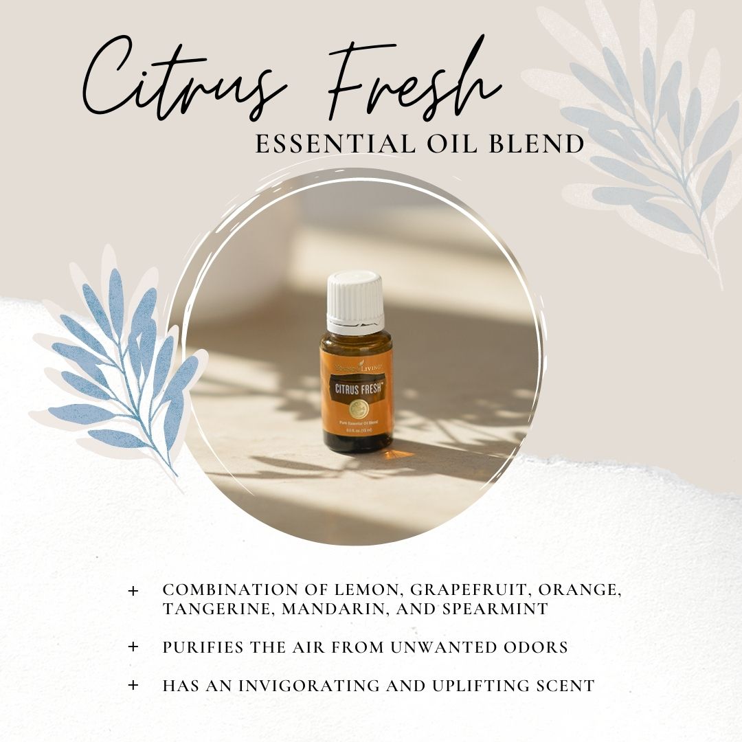 MyAmazingOils's tweet photo. Bridgit keeps a bottle of Citrus Fresh in the bathroom. One drop helps everyone feel a little better about spending a little time in there.
Want to learn how to use your oils every day? Head over to https://t.co/7xKdcq4Wao to join our oily email list! https://t.co/4d7tV9rSQS