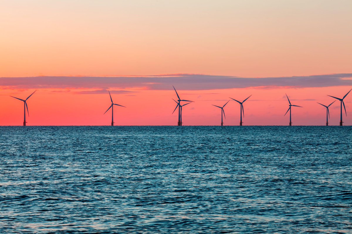 PlymouthMarine's tweet photo. On the countdown to the new year, we're sharing our five most-read news stories from the past year. Here at #4, is 'Impacts of offshore wind farms: new evidence base'. This was actually a story from 2023 but remained a top-read in 2024! Read: https://t.co/OWony9JpjE https://t.co/kd8rbFCdNf
