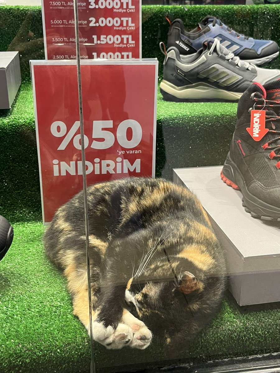 yılbasına özel calicolarda %50 varmis