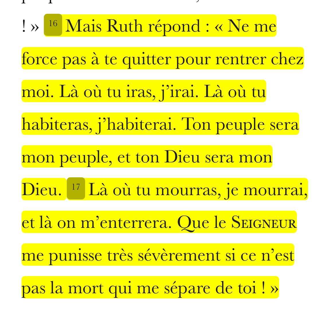 🎆 princesse lumpy space tweet media