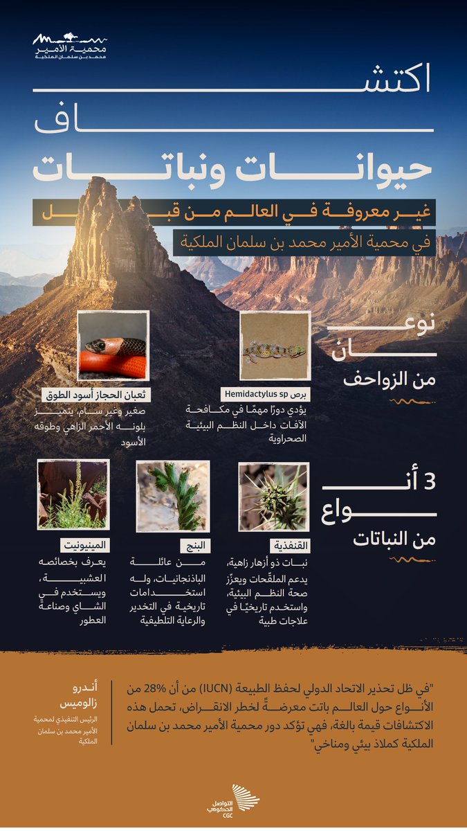 اكتشاف حيوانات ونباتات غير معروفة في العالم من قبل؛ في #محمية_الأمير_محمد_بن_سلمان_الملكية. #التواصل_الحكومي