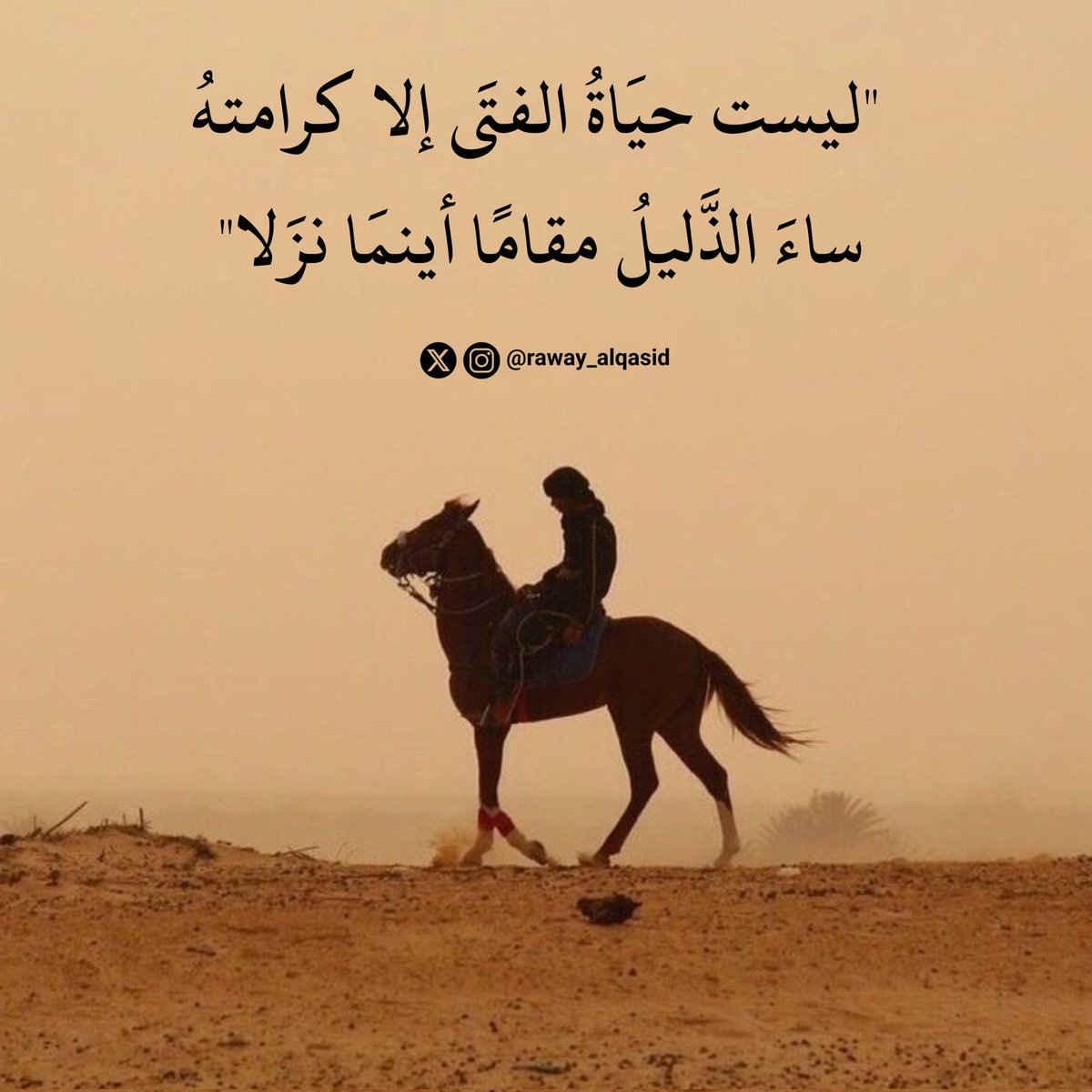 "ليست حيَاةُ الفتَى إلا كرامتهُ
ساءَ الذَّليلُ مقامًا أينمَا نزَلا"