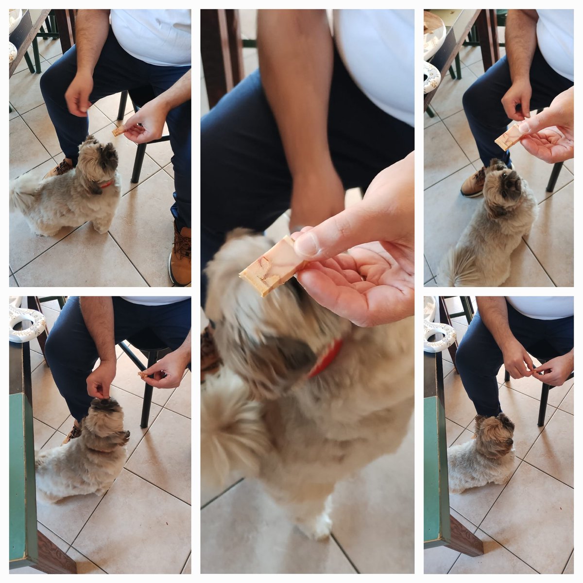 potissien's tweet photo. Sachez que je mange du pâté en croûte volaille, cane et foie gras de chez #Ospital #Hasparren #PaysBasque
Et je me régale https://t.co/CNPez7jVhc