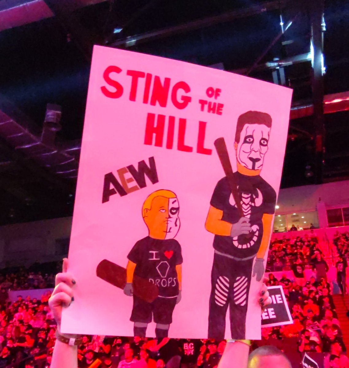 allan_cheapshot's tweet photo. Still my favourite AEW sign at a show https://t.co/ZiZjp8PSA2