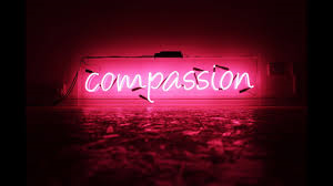 Dr Diane Menage tweet media