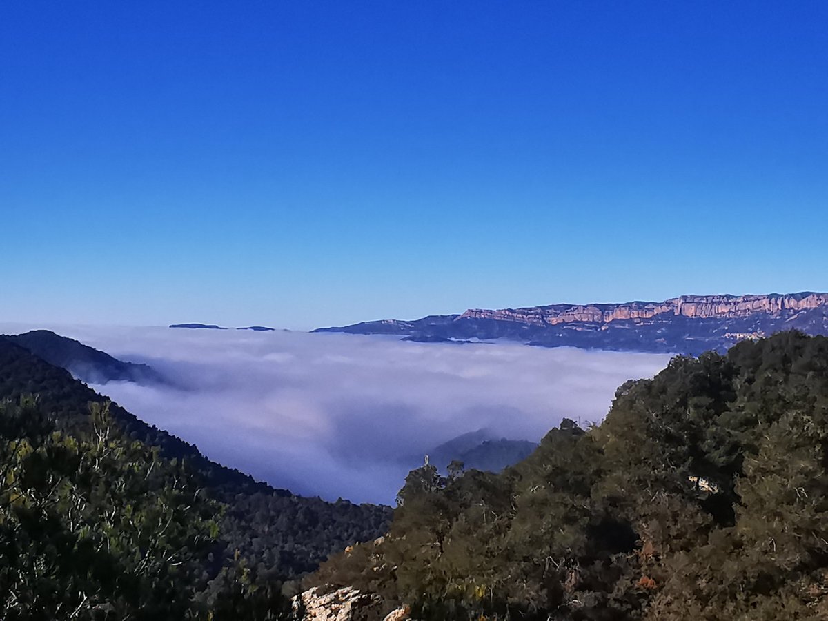 jarusgpv's tweet photo. Mar de núvols a tocar...i Poboleda invisible amb gelada i blancor perifèrica a les obagues del coll d'Alforja  #Siurana #Montsant #laMorera https://t.co/IGARcidBdP