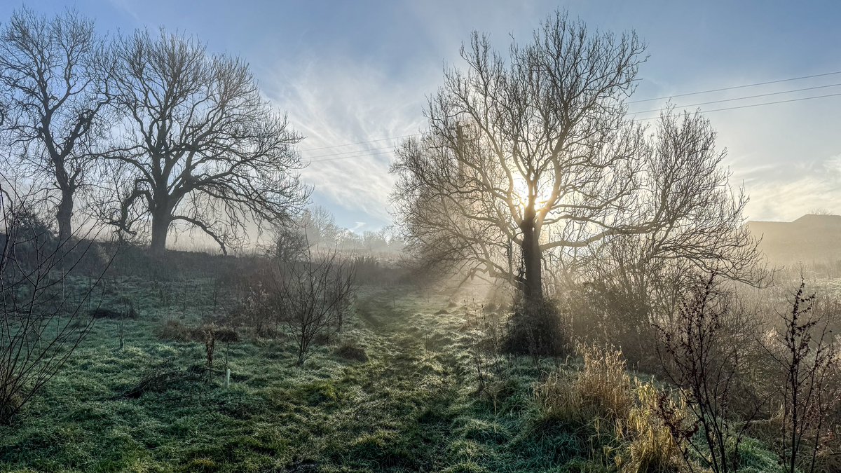 Good morning. This is a view of our daily dog walking route, on a particularly ethereal day yesterday