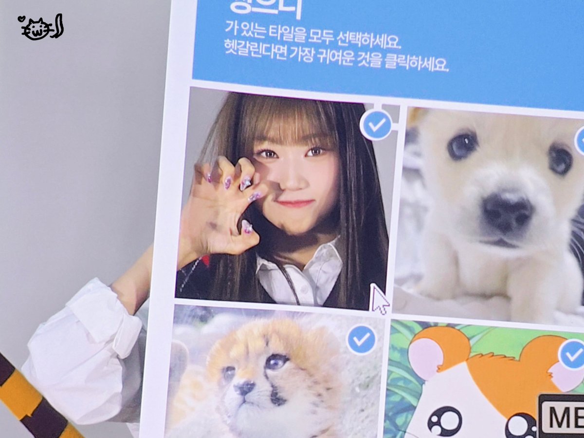 𝙢𝙞𝙧𝙧𝙤𝙧𝙗𝙖𝙡𝙡 tweet media