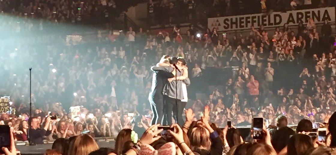 ONE DIRECTION concerts were THAT beautiful