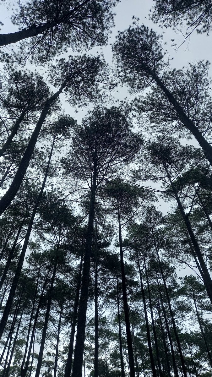 haesunleeks's tweet photo. @tanyarlfes A31 tapi kayaknya udh discontinue soalnya beli sekitar 2019/2020 https://t.co/Ui8nnDg0e2