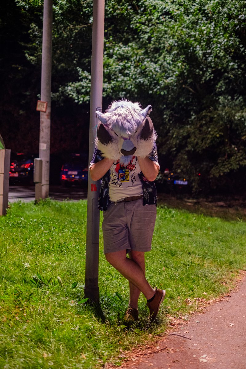From huh to uhh 

Suiter: <a href="/FloofyMoo/">FloofyMoo 🦬</a> 
Maker: <a href="/pseudocanid/">Pseudo 🧪</a> 

pretty late #FursuitFriday
