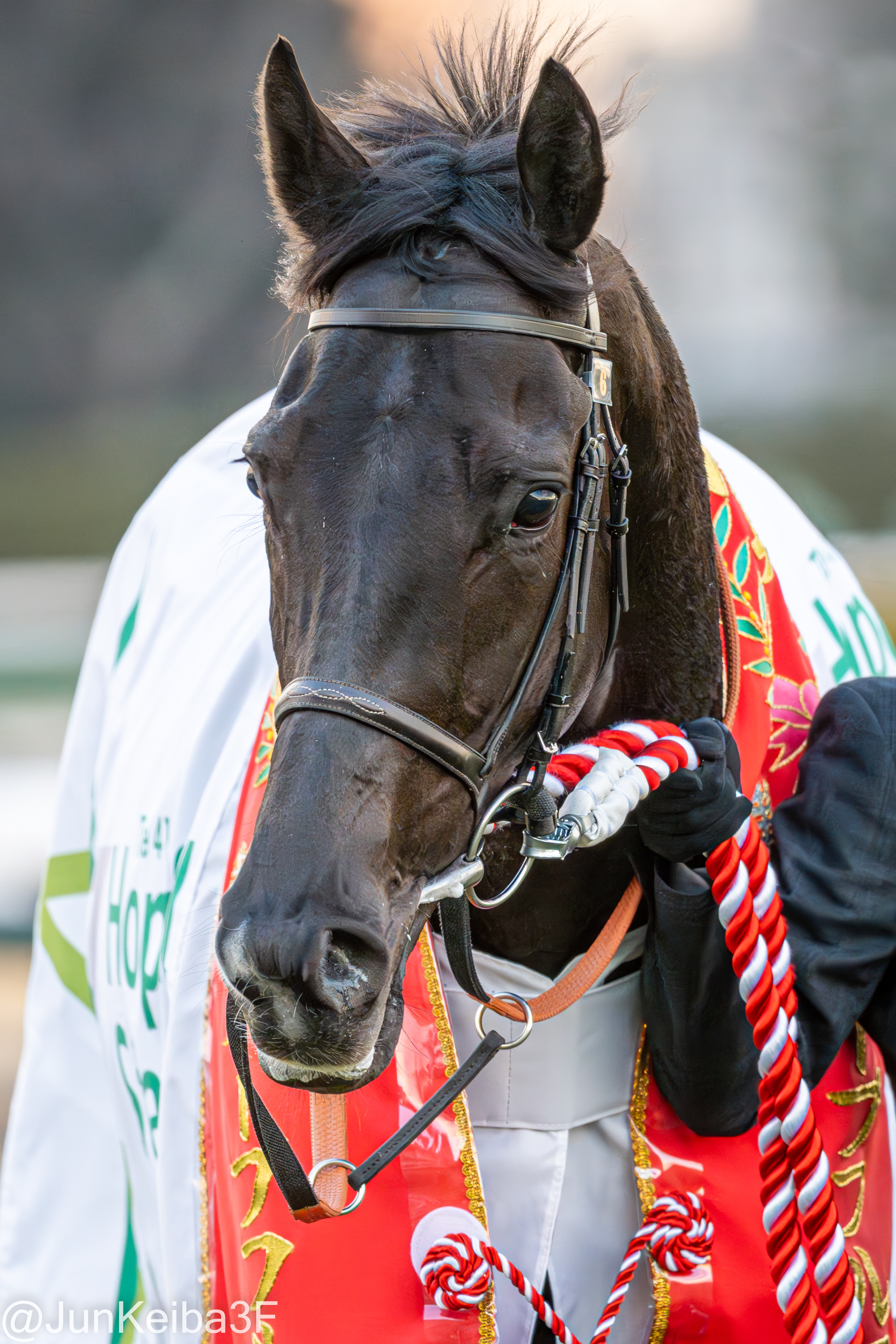 クロワデュノール　メイクデビュー（新馬戦）　現地的中応援馬券　⭐︎ホープフルS制覇 クロワデュノール メイクデビュー（新馬戦） 現地的中応援馬券