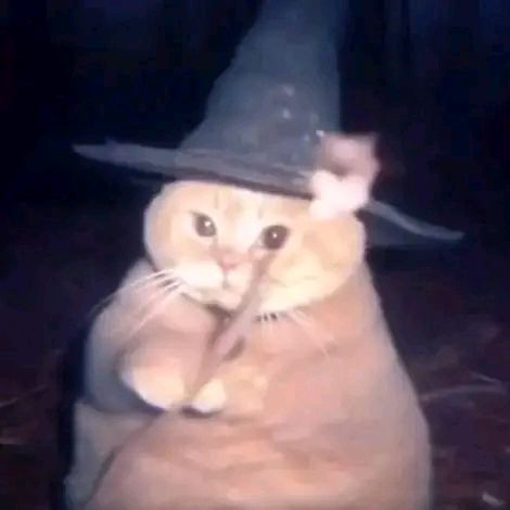 gentleeeeeeecat's tweet image. some great wizard