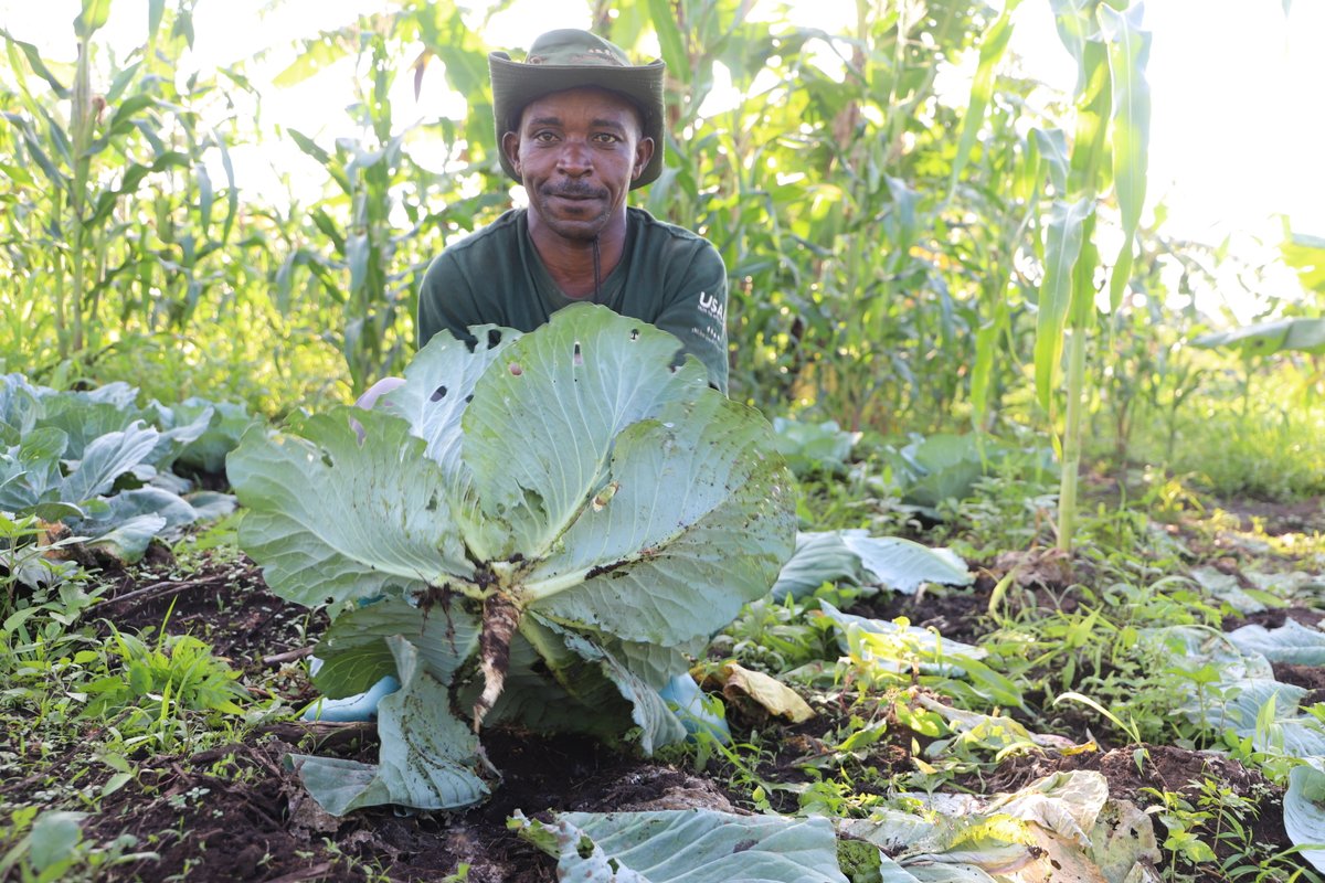 Healthy soil, healthy planet! 🌍
As we begin 2025!  Let’s take a moment to recognise the vital role that soil health plays in sustaining ecosystems and supporting biodiversity. 🌱

Through our JGI Tanzania programs, we are committed to promoting sustainable practices that protect