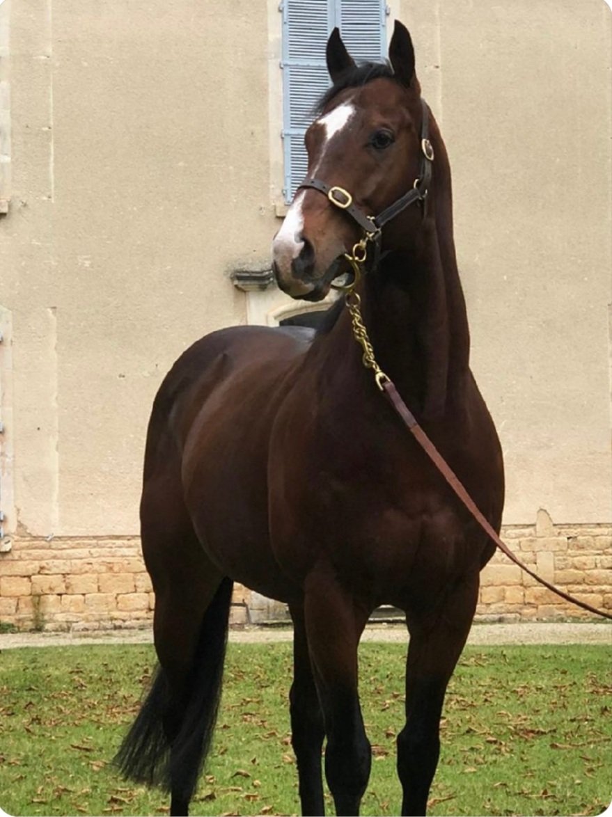 Pasan los años..siempre esta ahi !!! Cuatro años ya del ultimo vuelo del Intruder !!!.#presidency😍 <a href="/J_C_Cerqueira/">Jose Carlos Cerqueira</a> <a href="/BuesaZubiria/">cristina buesa zubiria</a> <a href="/jose_bareliere/">Jose Gomez</a> 💝