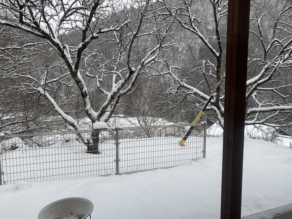cKUMA69c's tweet photo. 今年は雪が多い⛄️ https://t.co/Bcaol7ndfW