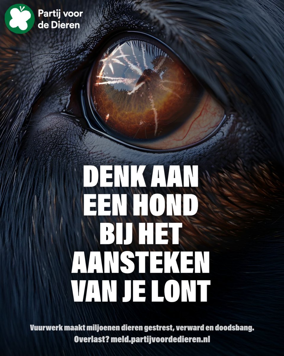 #Vuurwerk maakt miljoenen dieren gestrest, verward en doodsbang.
🐶🐱
Vogels slaan op de vlucht, huisdieren raken in paniek, koeien en paarden verwonden zichzelf door angst.
Maak een verschil en laat vuurwerk achterwege 👇