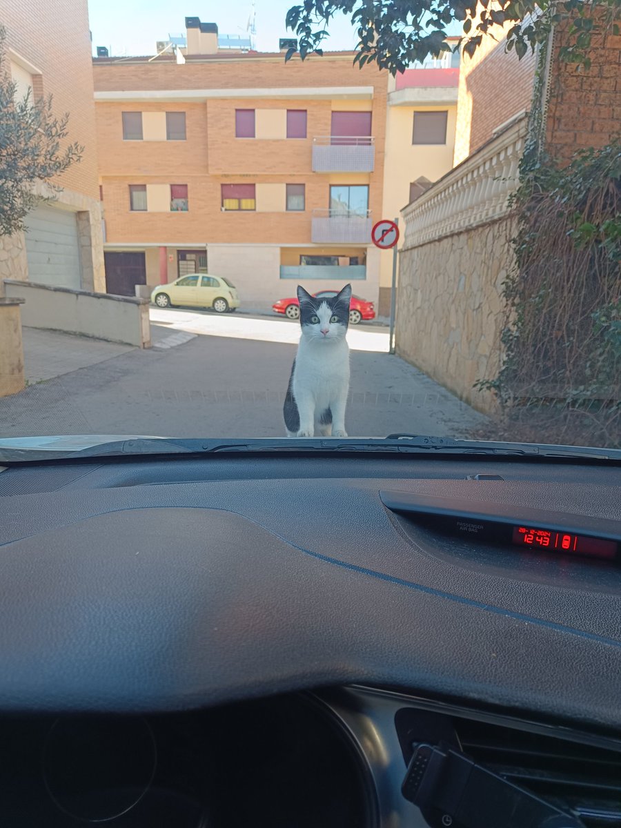 Ayuda rápido que hago? Os juro que no es IA