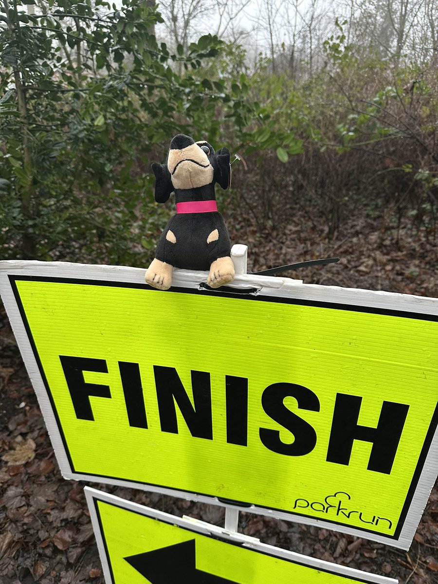 Lytham Hall parkrun tweet media