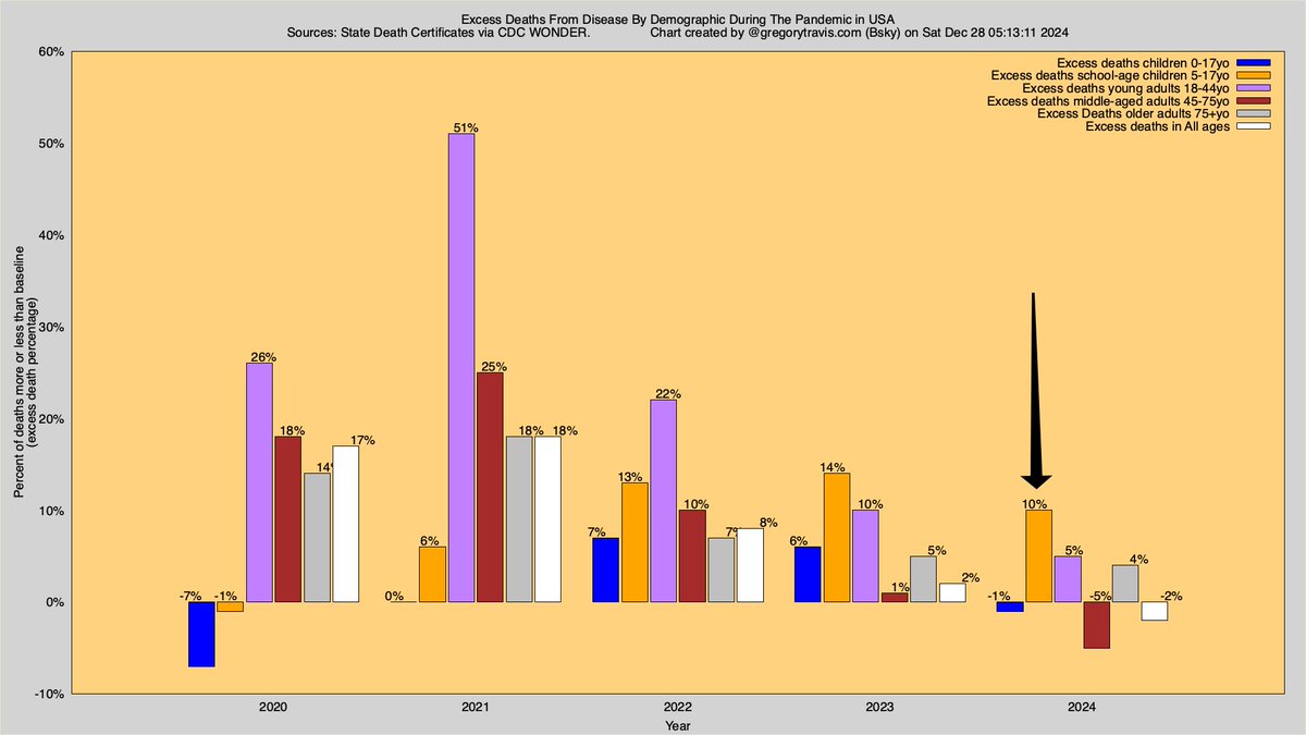 greg_travis's tweet photo. US excess death from disease in school-aged children in 2024 is 10% higher than pre-pandemic

This translates into approximately 31 additional children dying every month

Or nearly four hundred additional deaths in those aged 5-17 in 2024

Those new deaths are due to SARS-CoV-2 https://t.co/CD4zBL1vwN