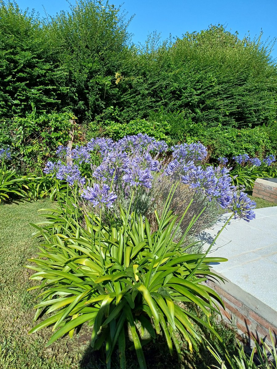 Hermosa mañana,verdad?