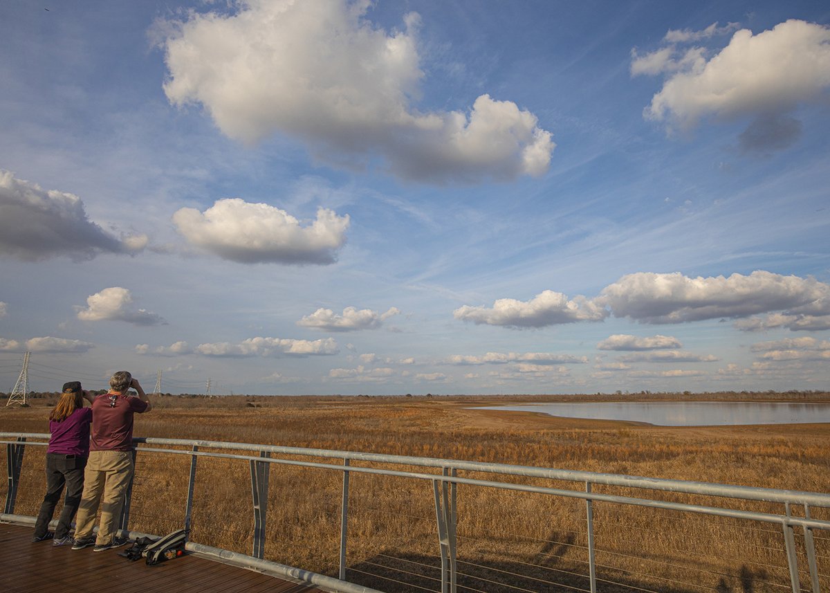 What's an ‘Ike Dike’ again? A Houston glossary of green jargon dlvr.it/TH2rxt