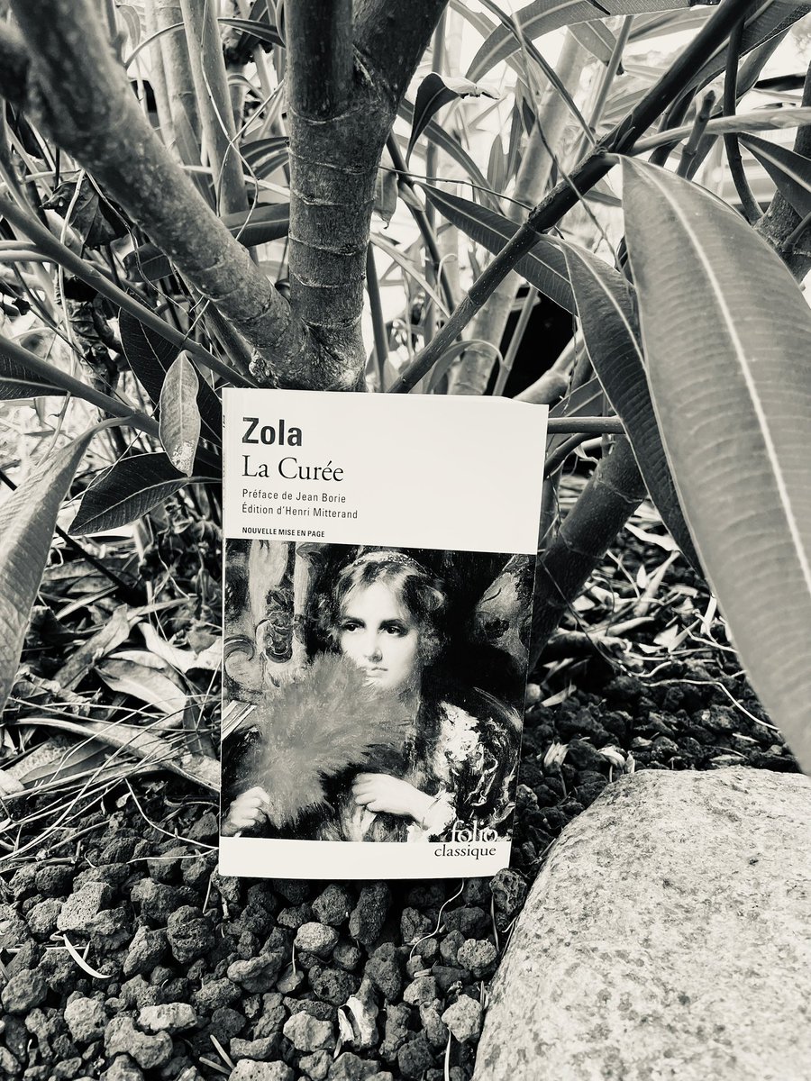« Quant à la dépense, déclara gravement le député Haffner qui n'ouvrait la bouche que dans les grandes occasions, nos enfants la paieront, et rien ne sera plus juste. »

La Curée - Émile Zola