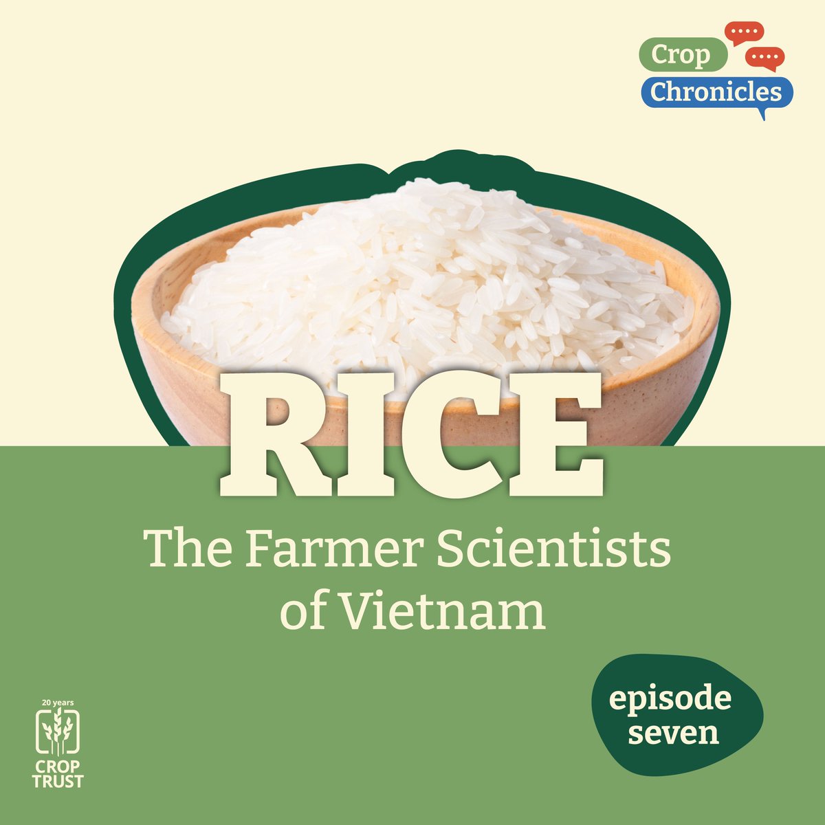 CropTrust's tweet photo. π‘οΈπ In this #CropChronicles episode, learn how seed clubs empower farmer communities in Vietnam to develop #rice resilient to rising temperatures & salty soils. πΎ
π§ Tune in and discover how the #BOLDProject drives innovation in the fields: https://t.co/6GGmkC1Zuv
#BOLDcwr https://t.co/sLtqTT0Lhv