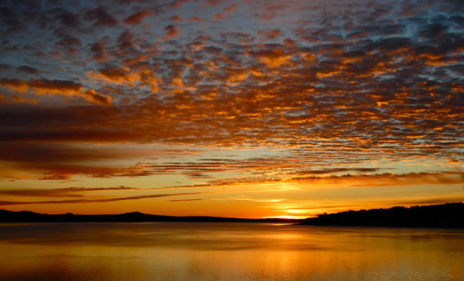 BruceAllenJone5's tweet image. Another great sunset over the lake😎🌅

#lakesunset #lakeviews #sunsetatthelake #lakelife #lakeliving #lakelifestyle #onlaketime #lakebuchanan #lakelbj #inkslake #lakemarblefalls