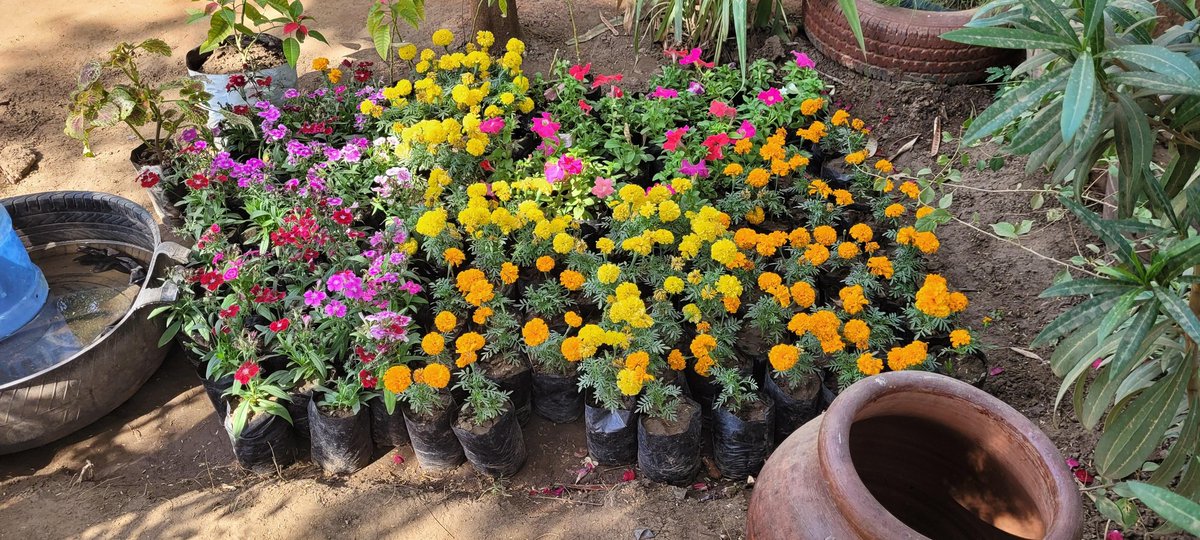 أحمد tweet media