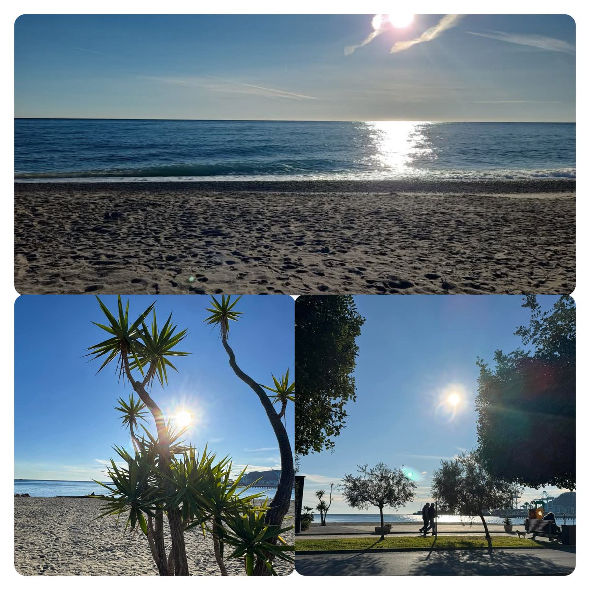 tiziana_55's tweet photo. È il 28 Dicembre...ma Savona non lo sa 🤗 #estate #lamialiguria #lapace #ilmare https://t.co/Za9cRjdr0v