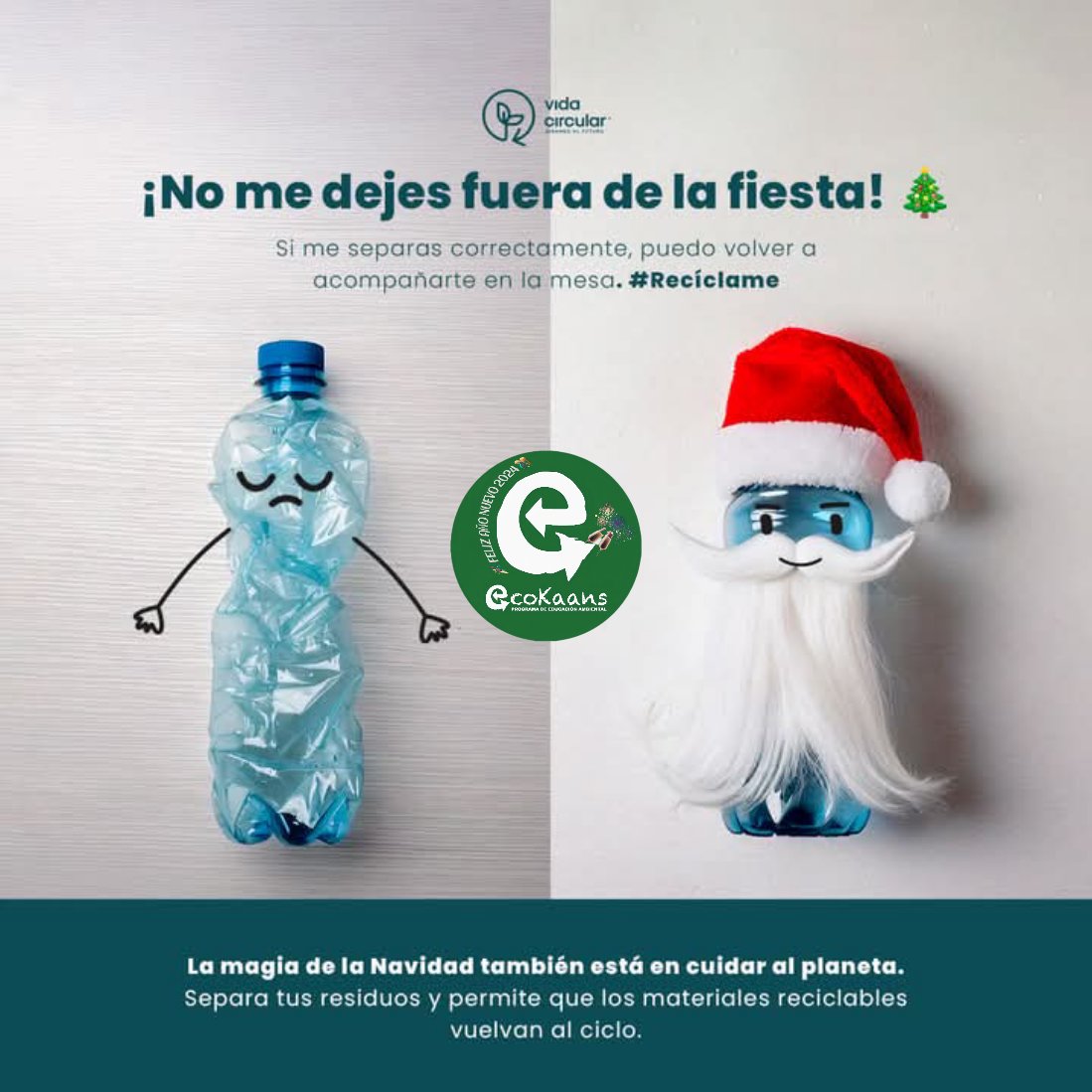 🎆En estas fiestas
de fin de año🎆, démosle uno de los mejores regalos que podamos entregarle a nuestro planeta, separando correctamente los residuos.
🎉🪅Cada botella que separas, puede volver a acompañarte en tus mejores momentos🎁🎊
💻📷 #VidaCircular
Somos <a href="/ecokaans/">EcoKaans</a>
🌎🌱💚♻️