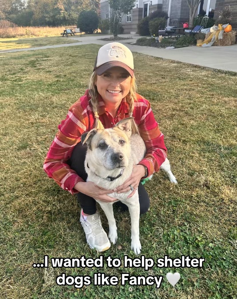 Matlockness's tweet image. Glad with this successful ongoing dog shelter foundation  ongoing fundraising project🦮🐕‍🦺🩵