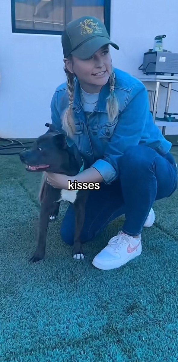 Matlockness's tweet image. Glad with this successful ongoing dog shelter foundation  ongoing fundraising project🦮🐕‍🦺🩵