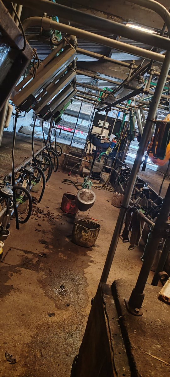 Romain Lamour🐖🌽📸 tweet media