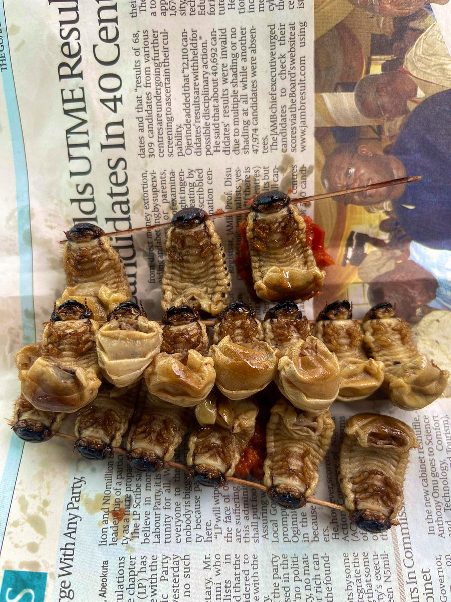 Pulse Nigeria tweet media